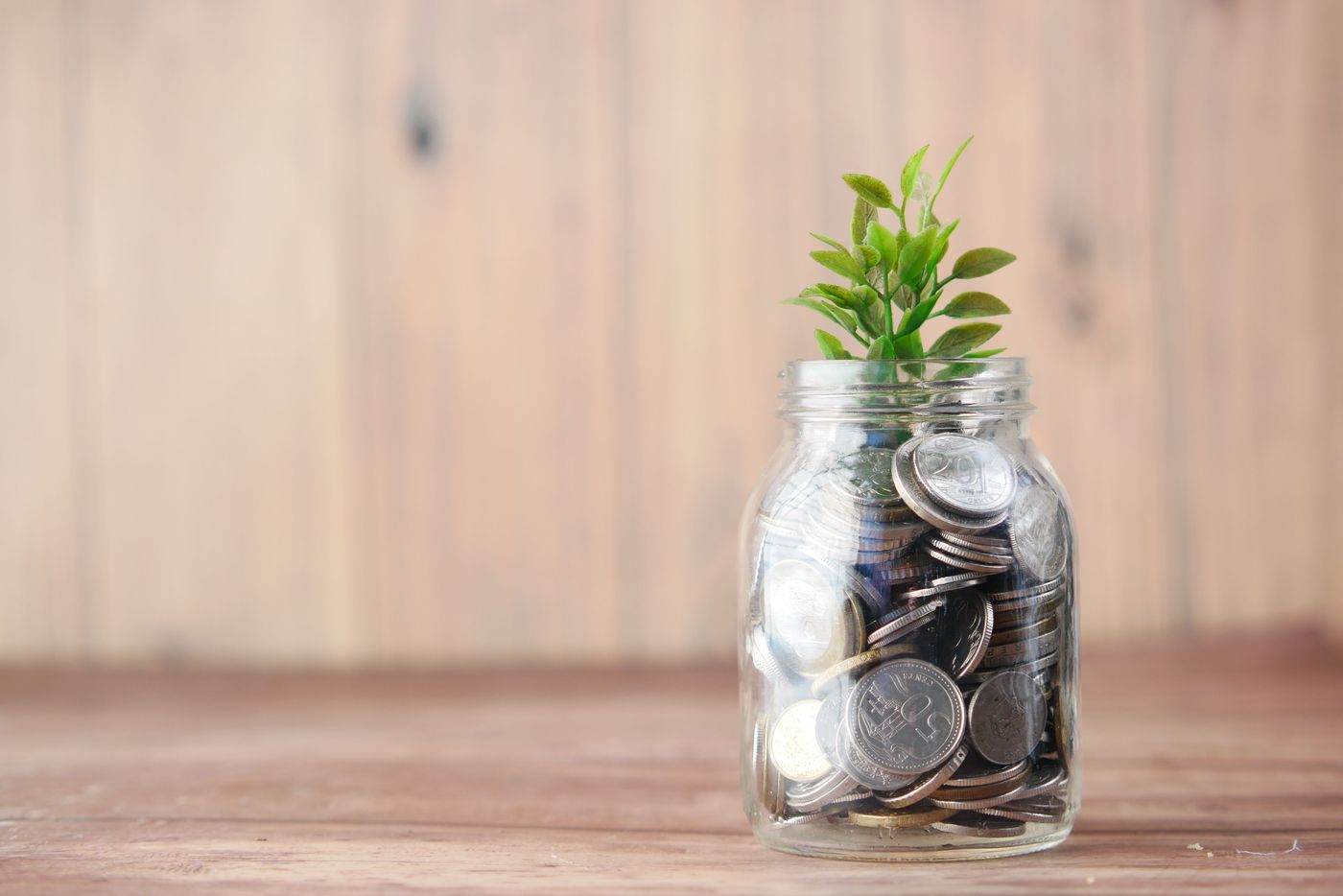 Savings growing steadily, like a well-managed investment